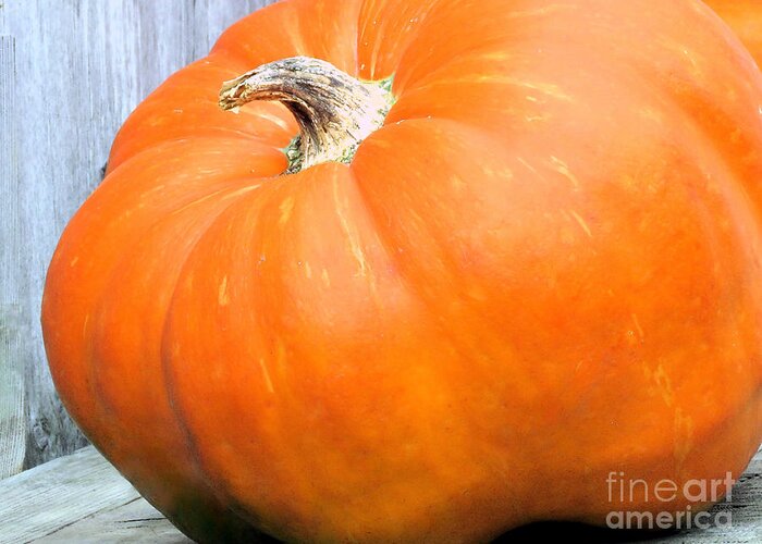 Pumpkins Greeting Card featuring the photograph Cinderellas Coach by Janice Drew