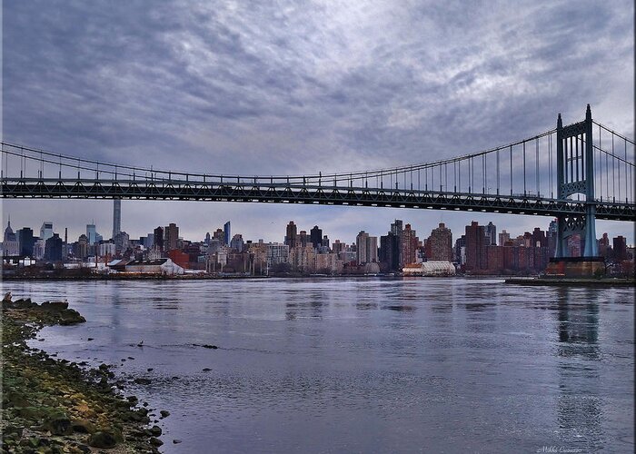 Cityscape Greeting Card featuring the photograph City Scape from Astoria Park by Mikki Cucuzzo