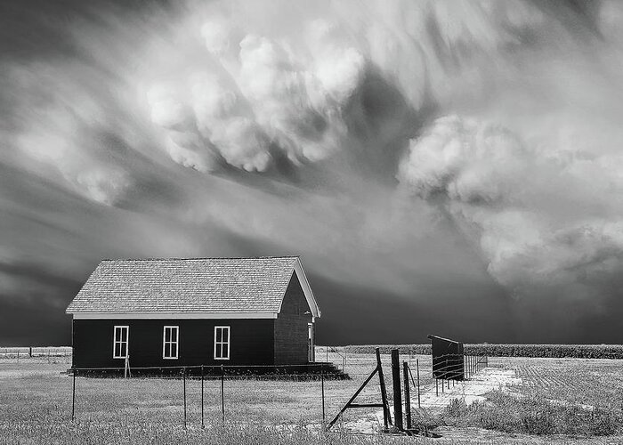 Severe Weather Greeting Card featuring the photograph Clarendon Lion by Scott Cordell
