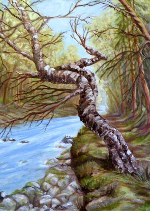 River Trees Bank Nature Landscape Cottonwood Bark Branches Cedars Fir Rocks Water Moss Sunlight Shadows Light Sky Blue Yellow Orange Green Brown White Grey Greeting Card featuring the painting Clayton River by Ida Eriksen