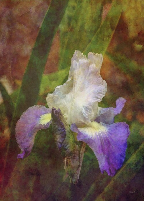 Impressionism Greeting Card featuring the photograph Clean 0259 IDP_2 by Steven Ward