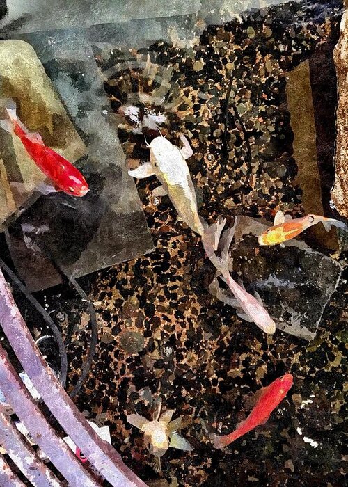 Koi Greeting Card featuring the photograph Clear As Koi by Brad Hodges