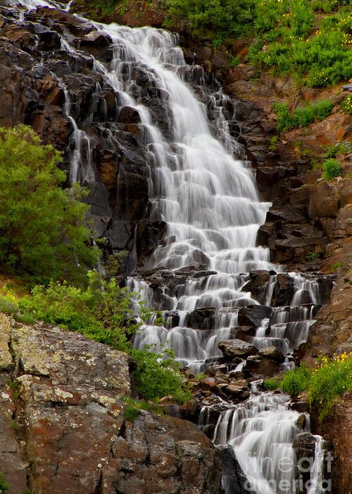 4wheel Drive Road Greeting Card featuring the photograph Clear Lake Falls by Lana Trussell