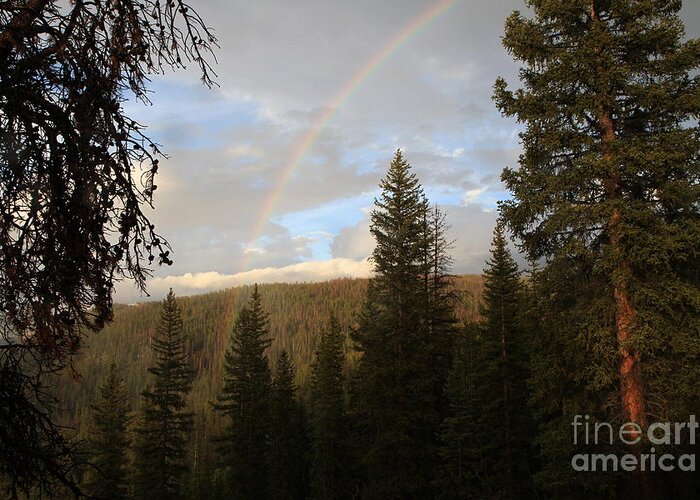 Tress Greeting Card featuring the photograph Clearing Rain and Rainbow by Edward R Wisell