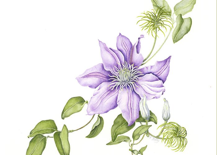 Watercolors Greeting Card featuring the painting Clematis Cezanne by Karla Beatty