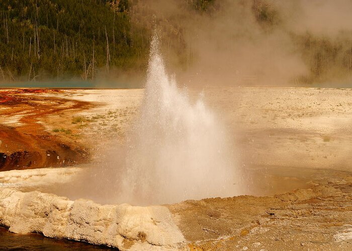 Cliff Geyser Greeting Card featuring the photograph Cliff Geyser by Beth Collins