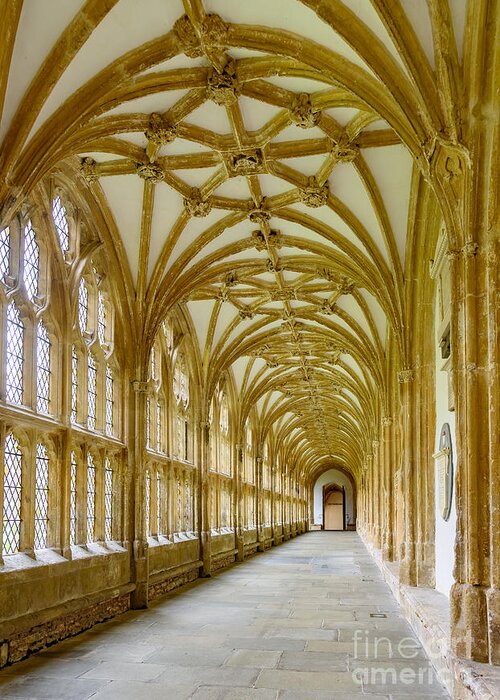 Wells Greeting Card featuring the photograph Cloisters, Wells Cathedral by Colin Rayner