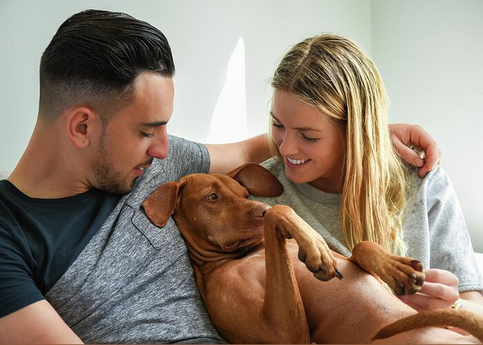 Britain Greeting Card featuring the photograph Close-up of smiling couple holding Hungarian Vizsla by Ndp 