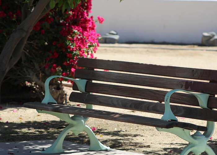Park Bench Greeting Card featuring the photograph Closeup of Park Bench in La Quinta by Colleen Cornelius