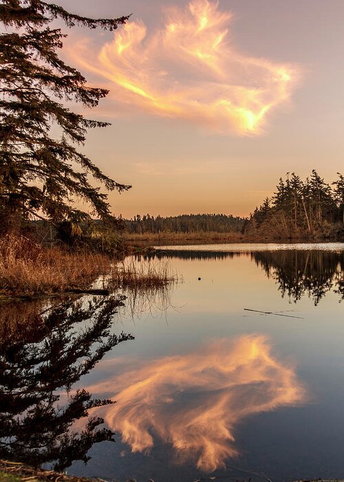 Cloud Greeting Card featuring the photograph Cloud on Cranberry Lake by Tony Locke
