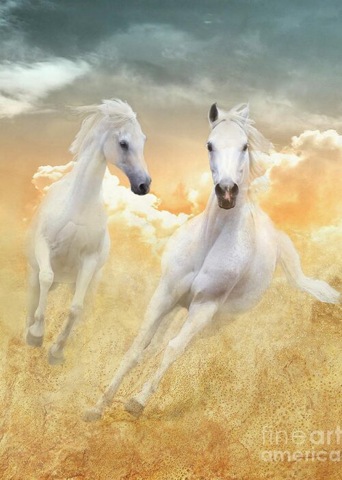 White Horses Greeting Card featuring the photograph Cloud Runners by Melinda Hughes-Berland
