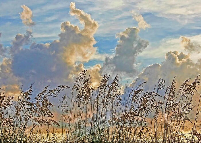 Seaoats Greeting Card featuring the photograph Clouds And Seaoats by HH Photography of Florida