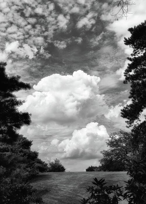 Clouds Greeting Card featuring the photograph Clouds Illusions by Jessica Jenney