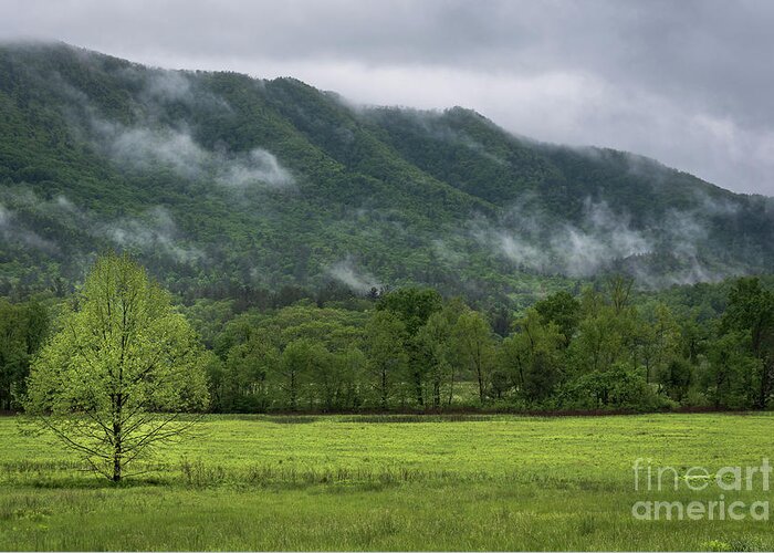 Cades Cove Greeting Card featuring the photograph Clouds Rolling In by Andrea Silies