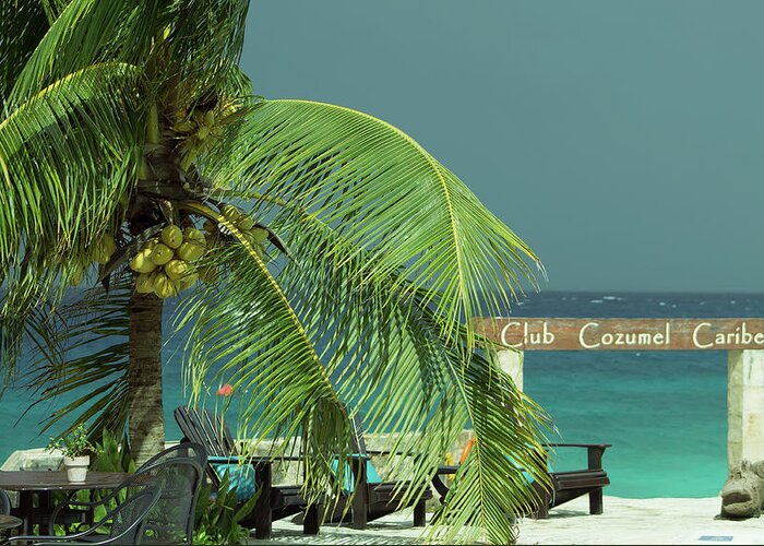Cozumel Greeting Card featuring the photograph Club Cozumel Caribe by Fred Boehm