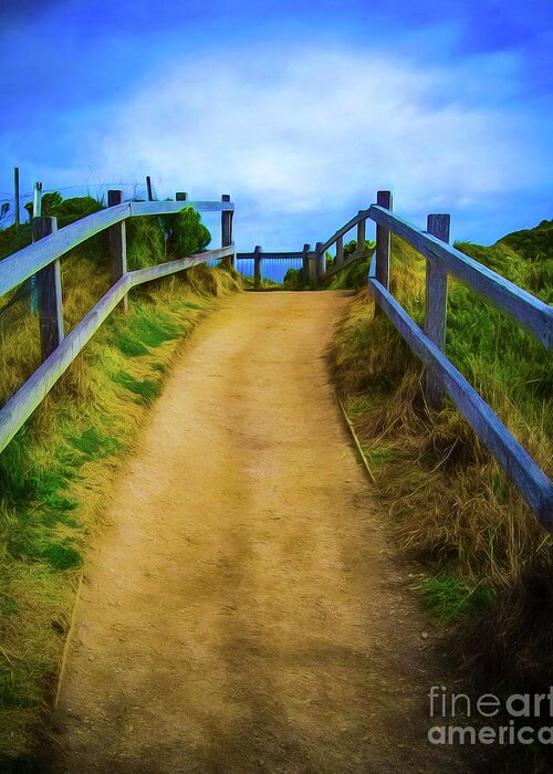 Path Greeting Card featuring the photograph Coast Path by Perry Webster