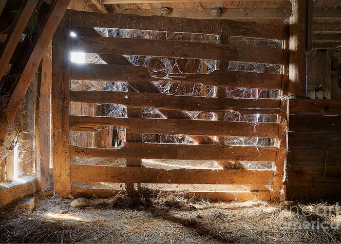Cobwebs Spider Web Spiderweb Gate Barn Farm Greeting Card featuring the photograph Cobwebs on the Gate by Ken DePue