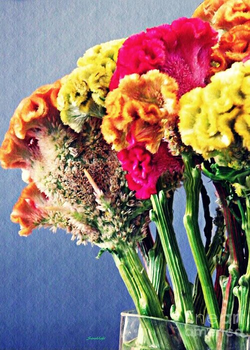 Cockscomb Greeting Card featuring the photograph Cockscomb Bouquet 2 by Sarah Loft