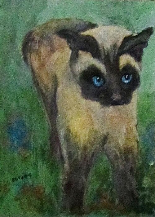 Cat Greeting Card featuring the painting Coco by Barbara O'Toole