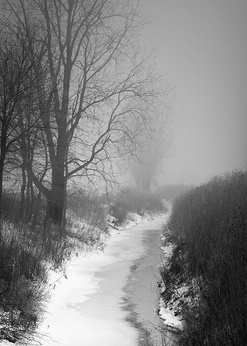 Landscape Greeting Card featuring the photograph Cold Fog by Cathy Beharriell