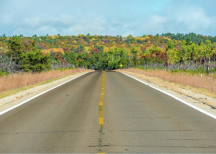 Landscape Greeting Card featuring the photograph Color At Roads End by Paul Johnson