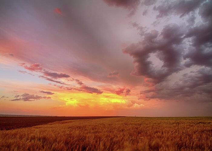 Colorado Greeting Card featuring the photograph Colorado Eastern Plains Sunset Sky by James BO Insogna