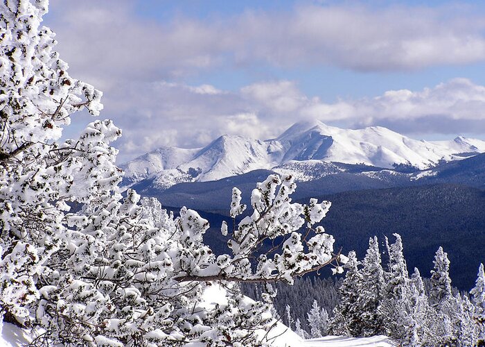 Mountains Greeting Card featuring the photograph Colorado Sawatch Mountain Range by Carol Milisen