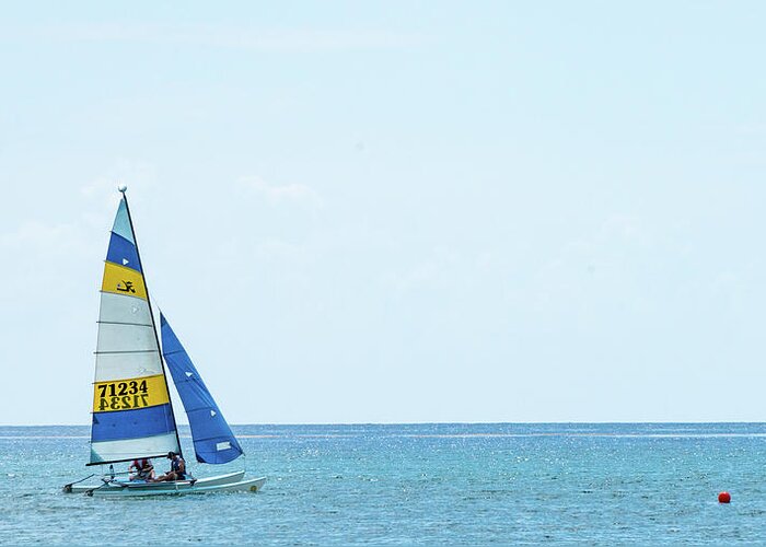 Florida Greeting Card featuring the photograph Colorful Catamaran 3 Delray Beach Florida by Lawrence S Richardson Jr
