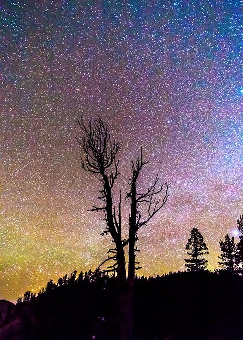 Sky Greeting Card featuring the photograph Colorful Celestial Night Portrait by James BO Insogna