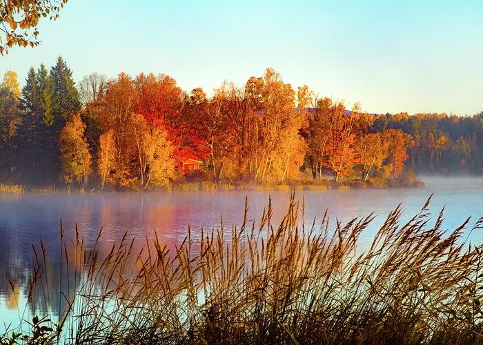 #jefffolger Greeting Card featuring the photograph Colorful dawn on Haley Pond by Jeff Folger