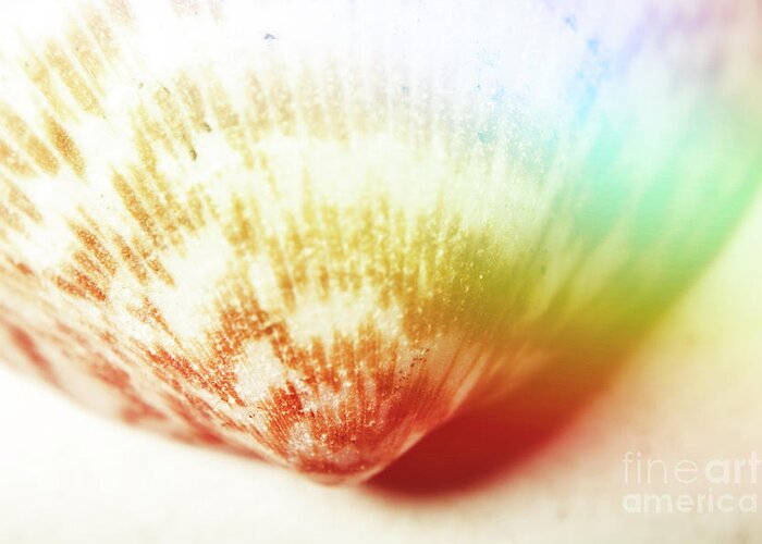Aquatic Greeting Card featuring the photograph Colorful light flare over seashell by Jorgo Photography