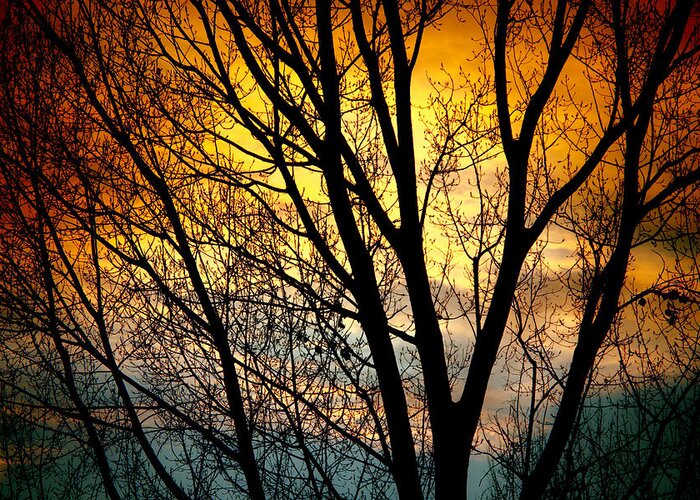 Sunsets Greeting Card featuring the photograph Colorful Sunset Silhouette by James BO Insogna