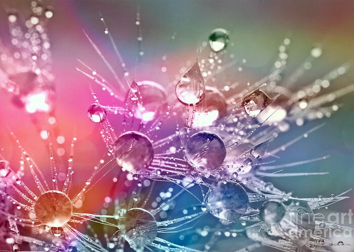 Water Drops Greeting Card featuring the photograph Colorful Water Drops by Teresa Zieba