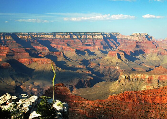 America Greeting Card featuring the photograph Colors and Depth of Grand Canyon - Square Format by Gregory Ballos