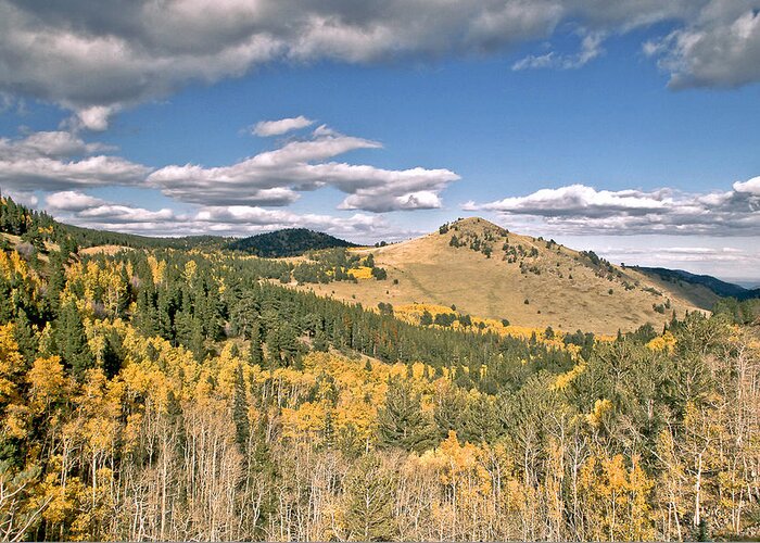 Fallcolors Mountain Hill Hikeing Nature Animals Deer Moose Sheep Cow Hunting Camping Clouds Sky Rain Storm Wind Stream Fishing Backpack Trails Top Pinetrees Aspen Summit Fineart Greeing Cards Fall Greeting Cards. Fall Canvas Prints. Fall Framed Prints. Landscape Fall Prints. Landscape Greeting Cards Sky Greeting Cards Mountion Greeting Cards.  Greeting Card featuring the photograph Colors In Colorado by James Steele