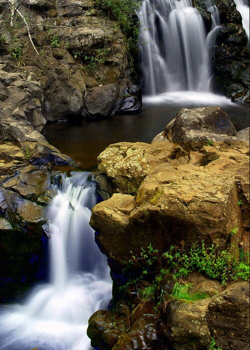 Waterfall Greeting Card featuring the photograph Columba River Gorge Falls 2 by Marty Koch