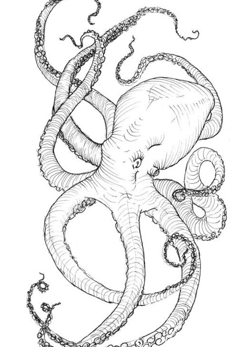 Download Tattoo Black-And-Gray Sleeve Picture Octopus Drawing HQ PNG Image  | FreePNGImg