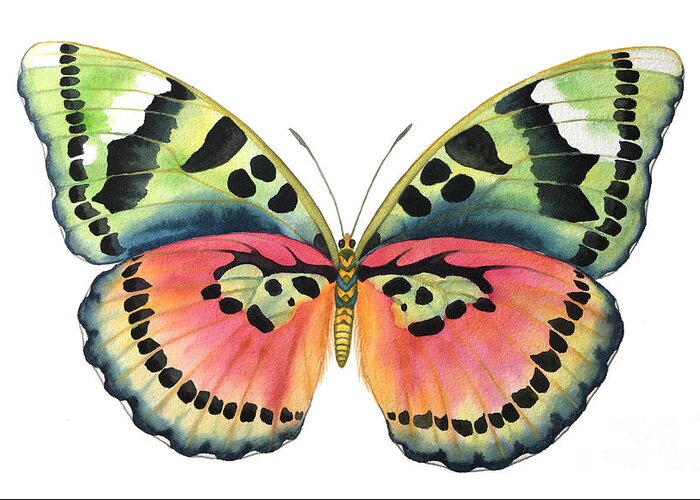 Butterflies Greeting Card featuring the painting Common Pink Forester by Lucy Arnold