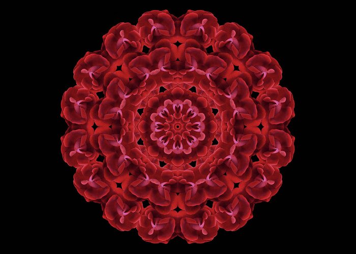 Flower Mandala Greeting Card featuring the photograph Consejo de Las Rosas -special request by Karen Casey-Smith