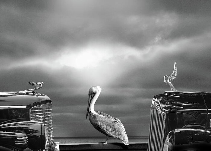 Automobile Greeting Card featuring the digital art Contemplating The Pelican by Larry Butterworth