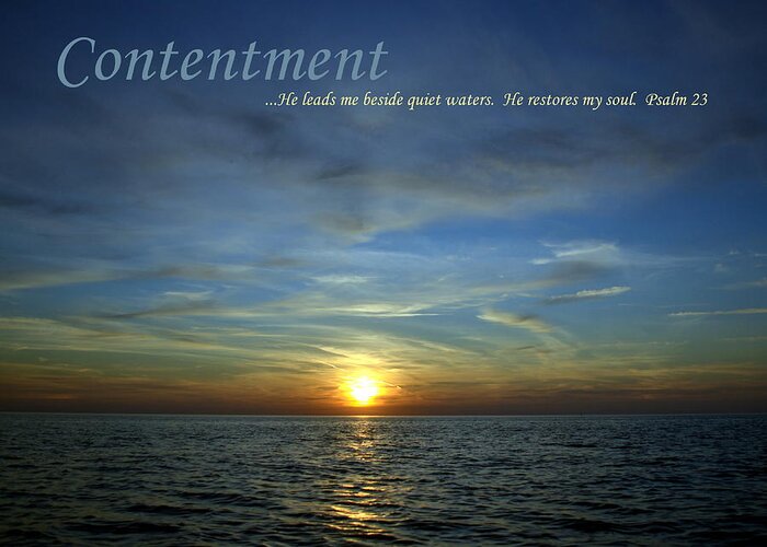 Contentment Greeting Card featuring the photograph Contentment by Michelle Calkins