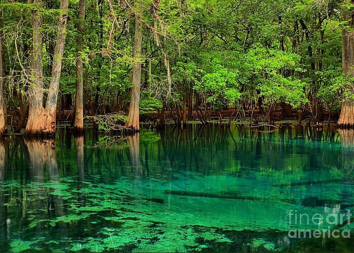 Manatee Spring Greeting Card featuring the photograph Cool Blue Manatee Spring Waters by Adam Jewell