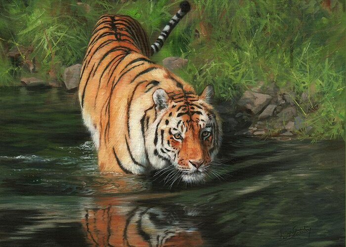 Tiger Greeting Card featuring the painting Cool by David Stribbling