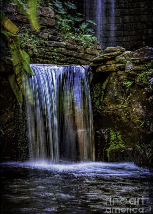 Park Greeting Card featuring the photograph Cool Water by Ken Frischkorn