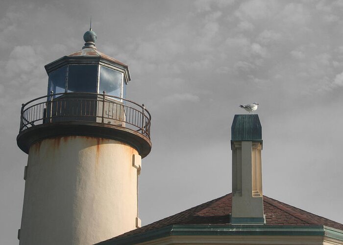 Lighthouse Greeting Card featuring the photograph Coquille by Dylan Punke