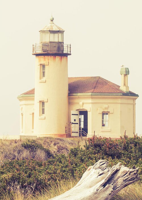 Muted Greeting Card featuring the photograph Coquille Lighthouse II by Catherine Avilez