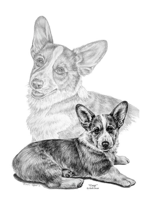 Corgi Greeting Card featuring the drawing Corgi Dog Art Print by Kelli Swan