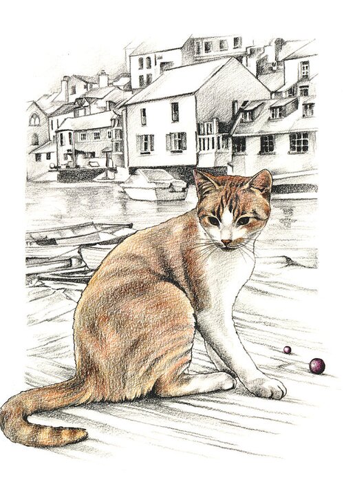 Cat Greeting Card featuring the drawing Cornish Cat by Johanna Pieterman