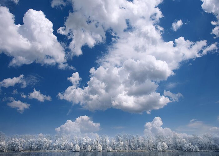 Clouds Greeting Card featuring the photograph Cotton Sky by Philippe Sainte-Laudy