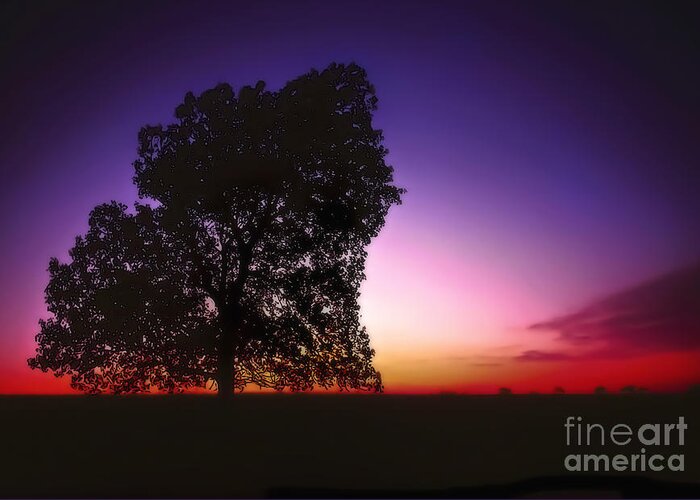 Cottonwood Greeting Card featuring the photograph Cottonwood on the Prairie at Sunset by Walt Foegelle